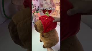 Cute Capybara Stuffed Animal Perfect for Gifts! #capybara #toys