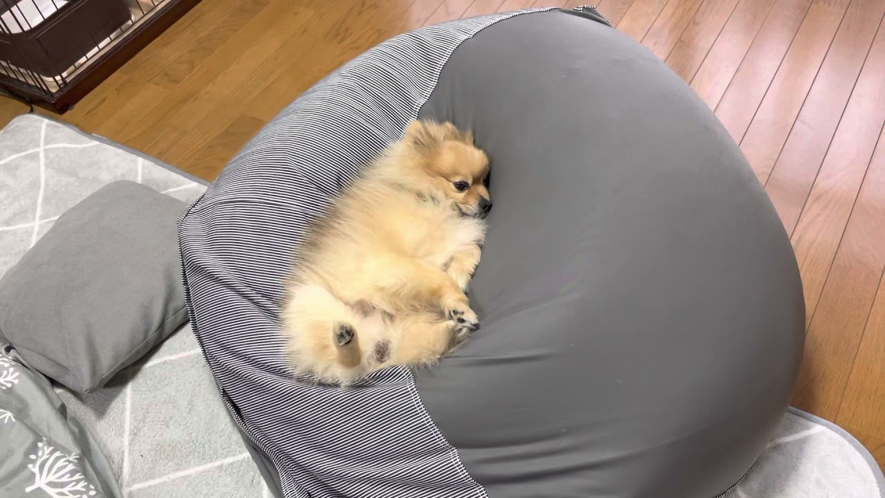 てる は し ここ み キャラソン Ro3n Myddns Com