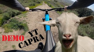 Demoing a YT Capra, but the goat bites back