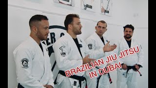 Бразильское джиу джитсу/ Brazilian jiu jitsu