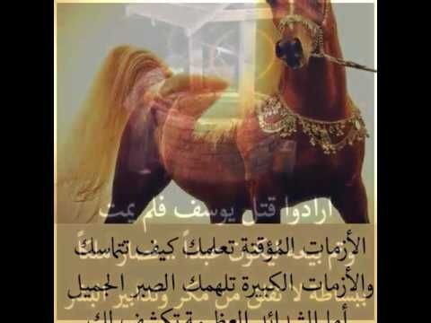 نندم علي العشره الغاليه