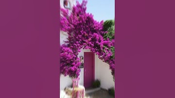 سورة الرحمان  ❤❤💙💙