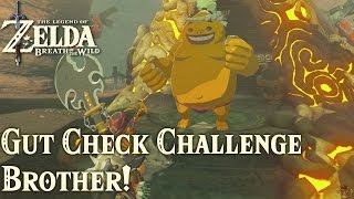 TLoZ: Breath of the Wild - The Gut Check Challenge Brother!