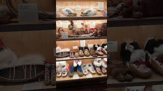 Yukon History-indigenous and paddle wheel #viral #youtubeshorts #asmr #klondike