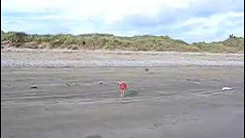 The ball returns with cheese