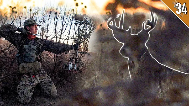 Bow Hunting with a DECOY! - Public Land Deer Hunting