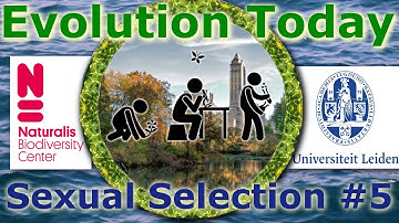 Evolution Today - 5. Sexual Selection