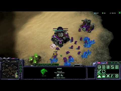 Video: Americká Univerzita Nabízí Kurz StarCraft