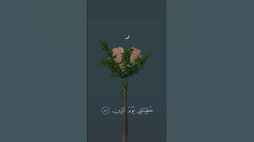 سبحان الله وبحمده سبحان الله العظيم   #تلاوة_خاشعة #قرآن