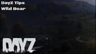その他 Wild dayz DayZ in the USA is WILD! - YouTube