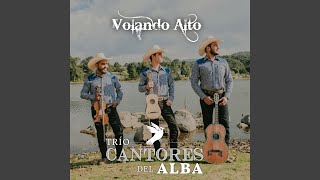 Video thumbnail of "Trío Cantores Del Alba - El Aguanieve"