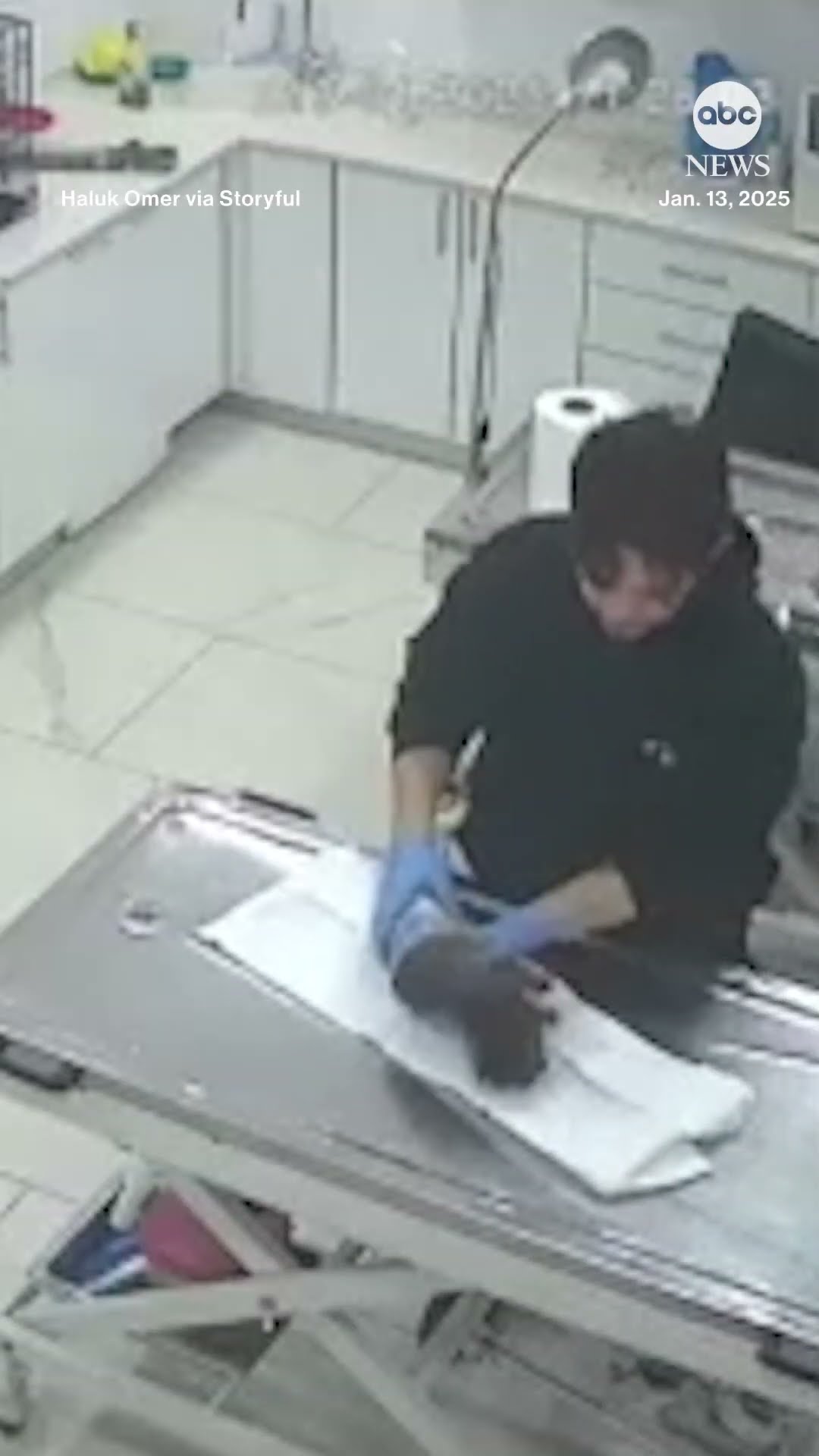 Stray dog brings sick puppy to vet's door