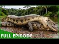 REIGN OF THE ANACONDA - Silent Killers of the Wild (Full Episode) | Nature Animal Documentary