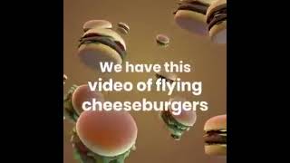 flying cheeseburgers