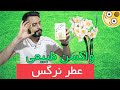 کاربردها و فواید عجیب گل نرگس و عطر آن از زبان حکیم خیراندیش واکسنی طبیعی Daffodils And Its Aroma کاربردها و فواید عجیب گل نرگس و عطر آن از زبان حکیم خیراندیش واکسنی طبیعی Daffodils And Its Aroma