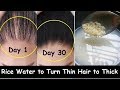 Apply Rice Water Daily & Turn Thin Hair to Thick Hair in 30 Days - Double Hair Growth & Long Hair