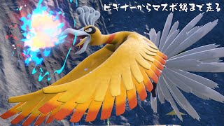 サブROMをビギナーからマスボ級まであげたい！！【ポケモンSV】
