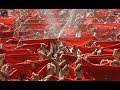 PAMPLONA  San Fermin 2017   часть - 1