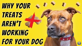 Why Your Treats Aren’t Working for Your Dog #59