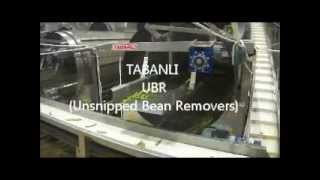 TABANLI Green Bean Processing Line.wmv