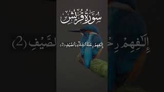 Surah Quraish Recitation (Quraish) Most beautiful Tilawat Heart Touching voice (سورۃ قریش) #quran