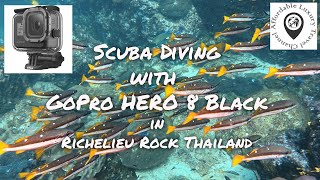 Scuba Diving with GoPro Hero 8 Black in 4K - Richelieu Rock Thailand