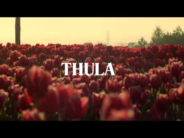 Thula [Official Lyric Video] Lowsheen,Master KG & Nkosazana Daughter