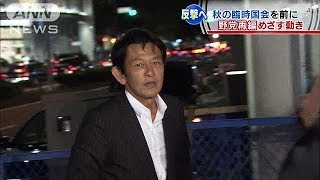 自民攻めあぐねる野党　再編目指す動き活発化も（13/10/13）