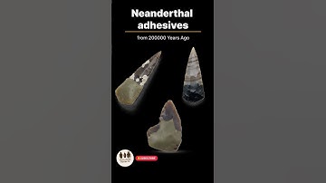 Neanderthal Adhesives