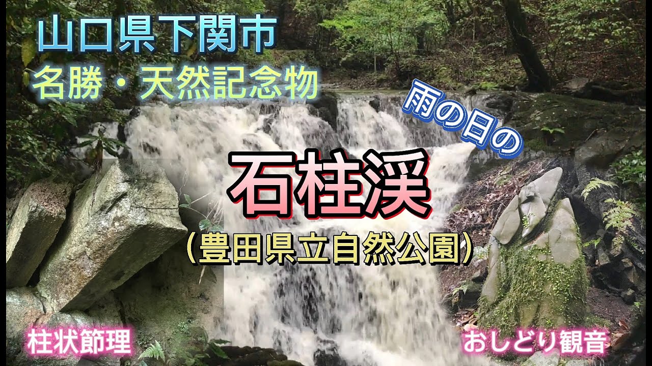 石柱渓 渓谷散策 名勝 天然記念物 石柱渓 へ 雨の日 の 森林浴ハイキング 山口県下関市 Youtube
