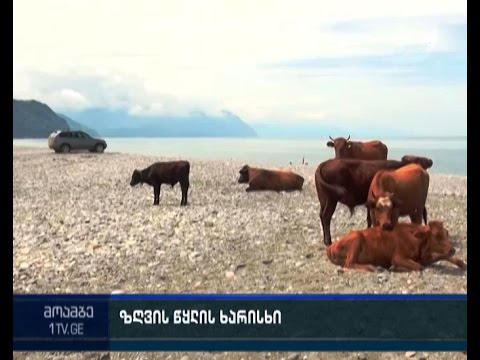 სუფთაა თუ არა ბათუმში ზღვა