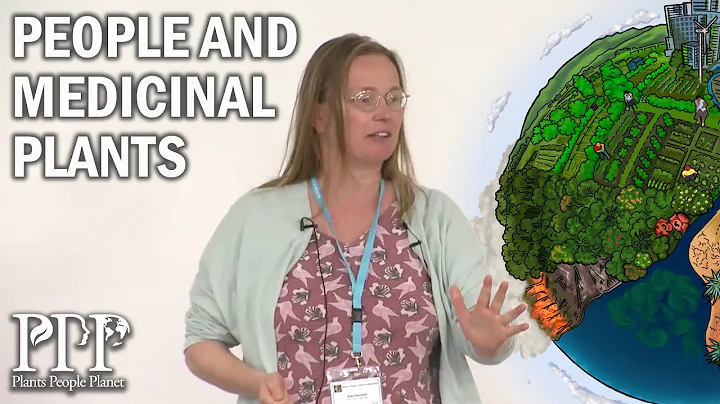 Julie Hawkins: People and medicinal plants