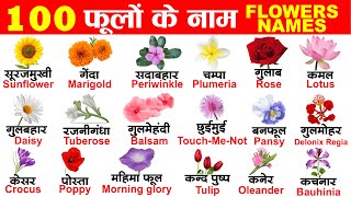 100 Flowers name in English and Hindi with PDF | 100 फूलों के नाम अंग्रेजी और हिंदी में screenshot 2