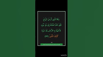 سورة فاطر - سورة 35 - اية 09