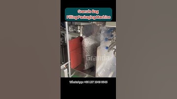 Rice granule bag filling sealing machine bagging machine #baggingmachine #ricepack