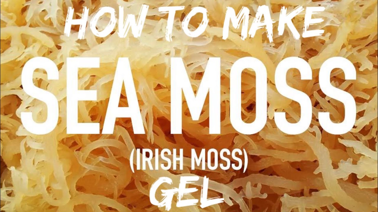 HOW TO MAKE SEA MOSS GEL‼️| Recipe - YouTube