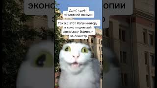 #поступайправильно #физфакмгу #егэ #дви #учёба