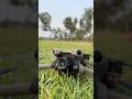 Mini 5 pro #viral #djidrone #dji #drone #trending