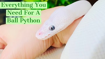 Ball Python Shopping List!