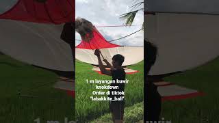 Layangan Kuwir Knokdown