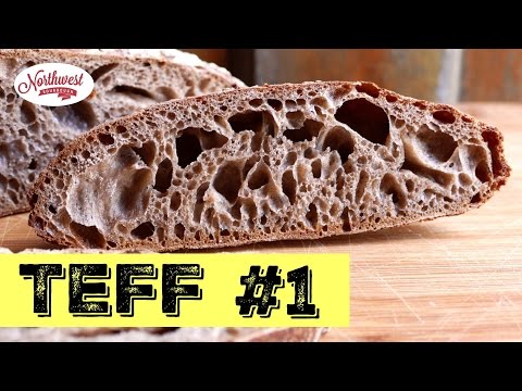 sourdough-teff-loaf-series---working-with-teff-flour-video-#1