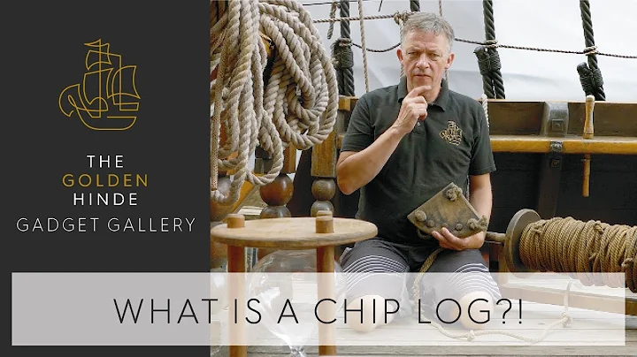 What is a Chip Log?
