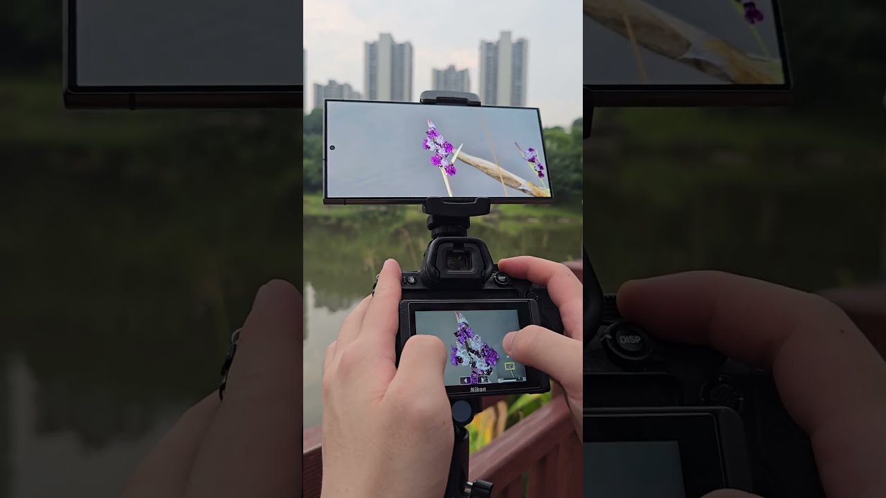 Samsung S24Ultra VS Nikon Z5 Telephoto Comparison SamsungIs 200 Million Pixels So Cool Shorts