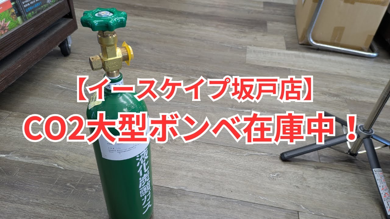 イースケイプではCO2大型ボンベ（ミドボン）を販売しています！