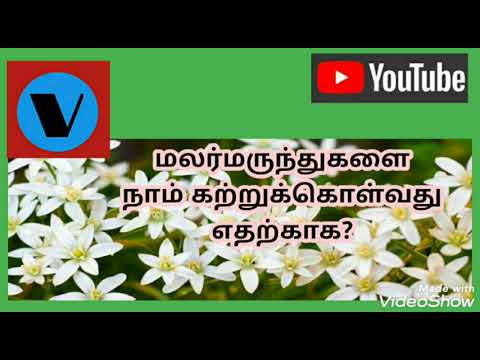 மலர் மருந்துகளை நாம் கற்றுக் கொள்வது எதற்காக? / Flower remedies in tamil