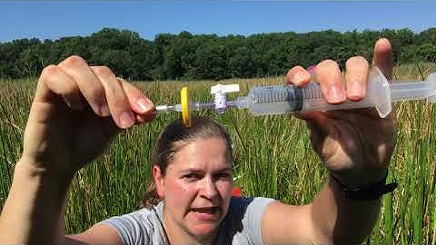 Porewater Sampling: Blue Methane - NERRs Collaboration