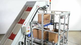 Crizaf 04 Multi Level Boxes Filling and Storage System Fast Box Changing