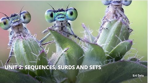 IGCSE Mathematics | 9.4 Sets (Part I)