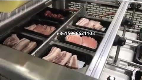 Fresh meat tray packaging machine | MAP modified atmosphere packaging machine | tray sealer