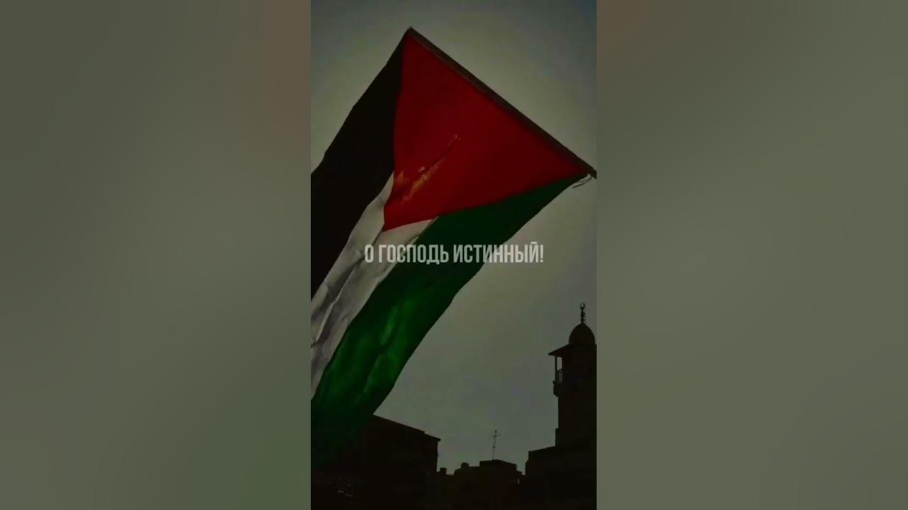 Палестина , дети, Изр*иль, война, Аллах, ислам, дуа, Ма Ша Аллах, армии ...